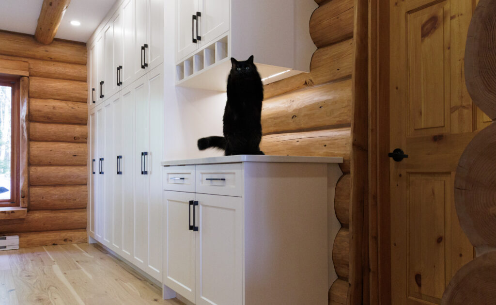 Custom Kitchen Cabinet